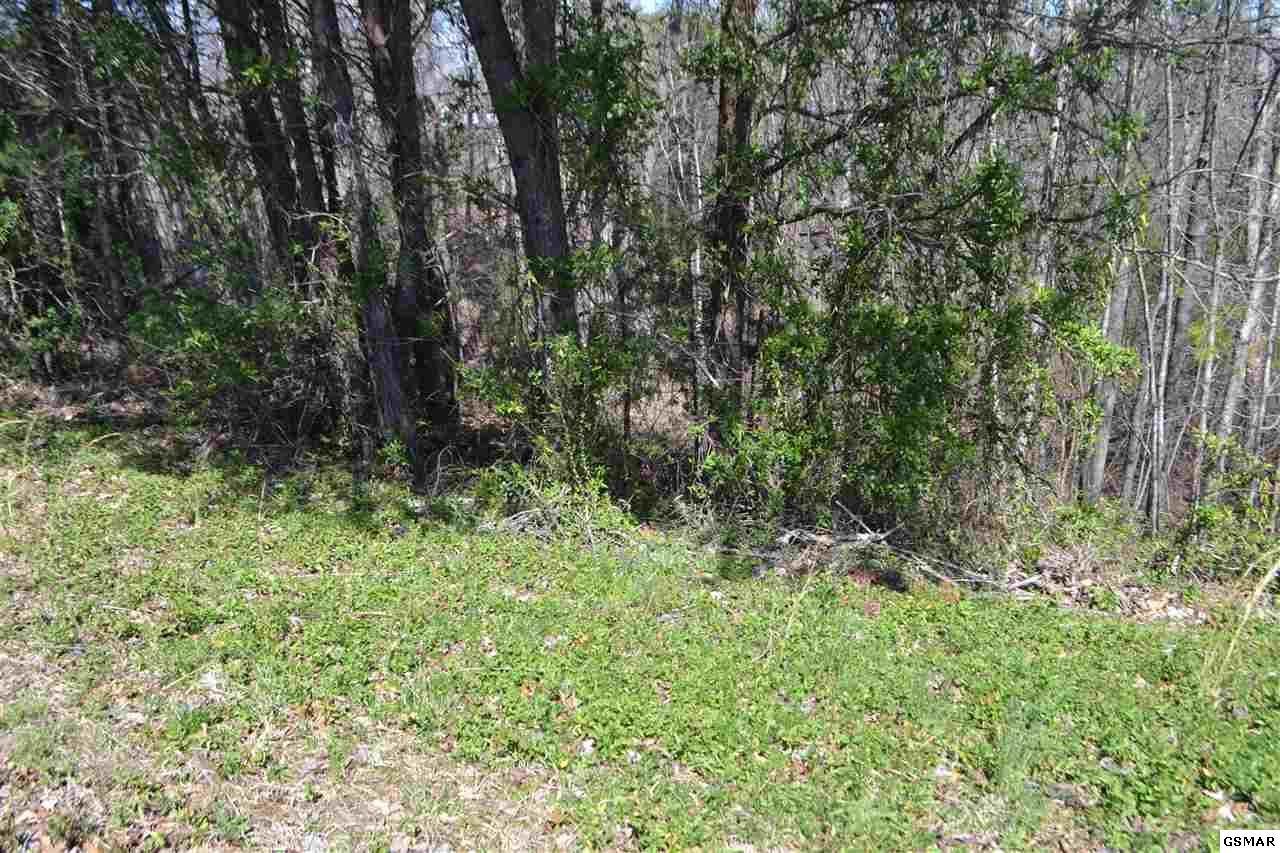 Lot 39 Kings Hills Blvd - Photo 1