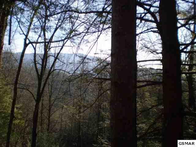 Lot 19 Off Catons Grove Road - Photo 1