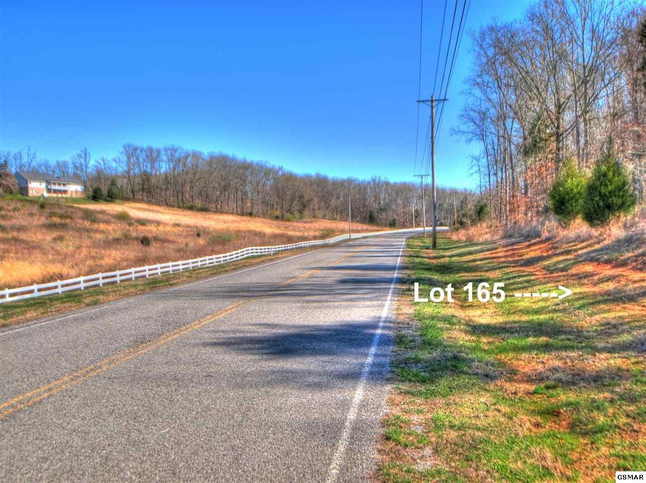 Lot 165 New Hope Rd - Photo 1
