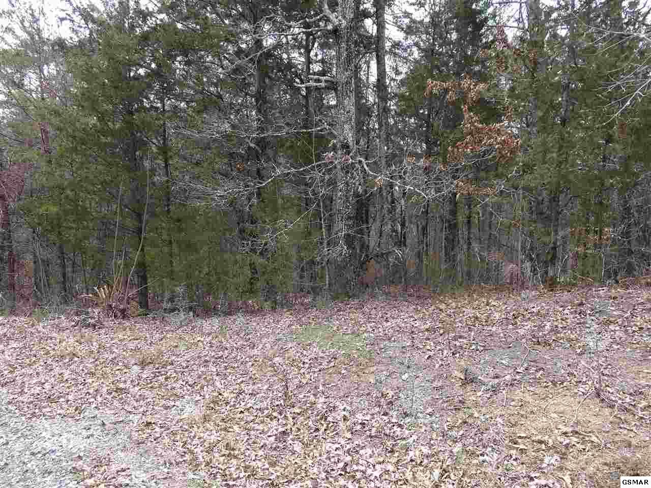 Lot 2 Island View Rd. - Photo 1 Lot 2 Island View Rd. - Photo 1