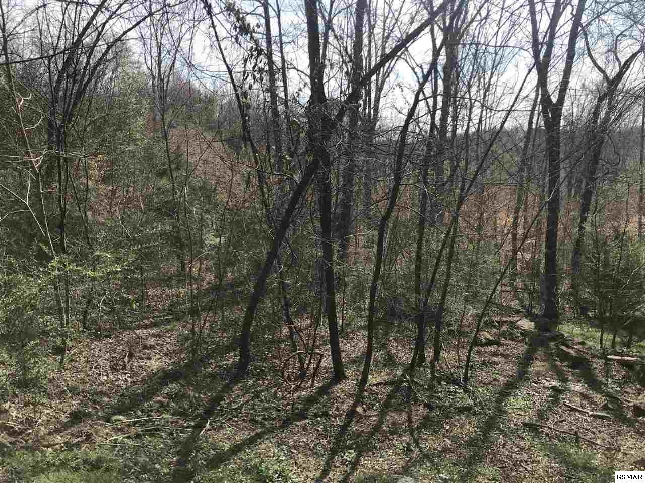 Lot 21 Stone Bridge Dr. - Photo 1