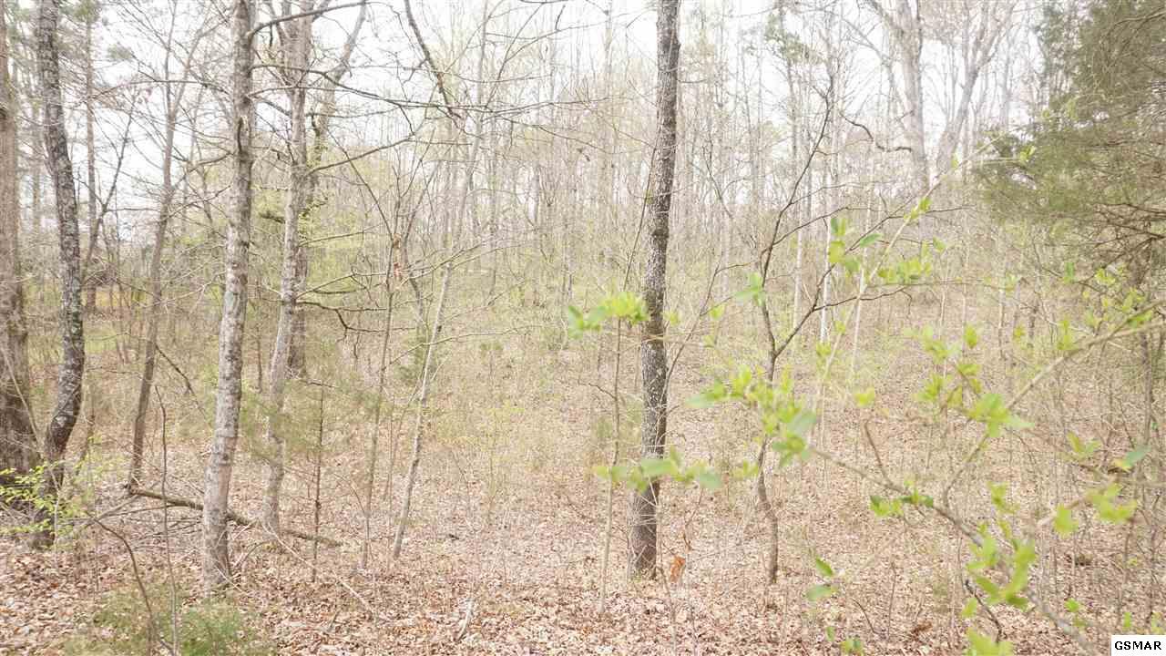 Lot 12 Flatwood Rd. - Photo 1