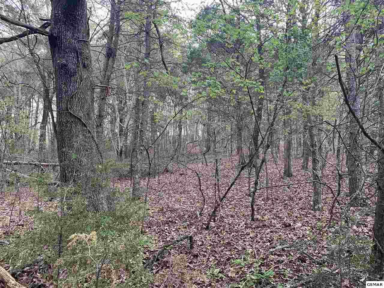 +-4.48 Acres Boulder Road - Photo 1
