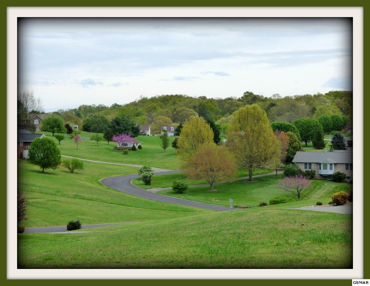 Lot 4 Emerald Ave - Photo 1
