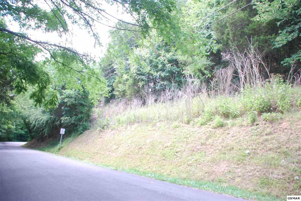 Lot 17 Easy Street - Photo 1
