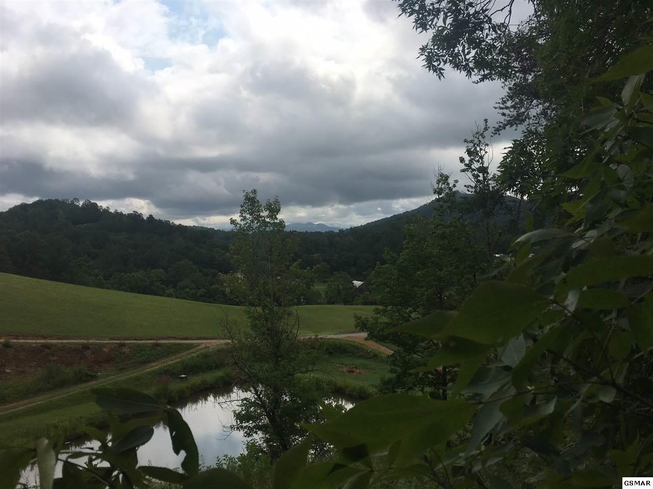 Lot 6 Mary Ridge Farm Road - Photo 1