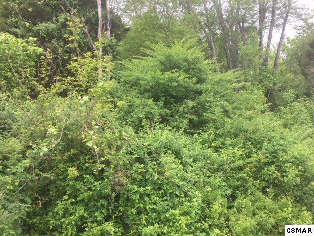 000 Woodmount Way - Photo 1