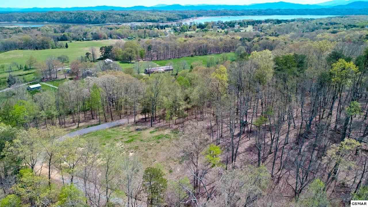 2.6 ACRES Shady Hollow Rd - Photo 1