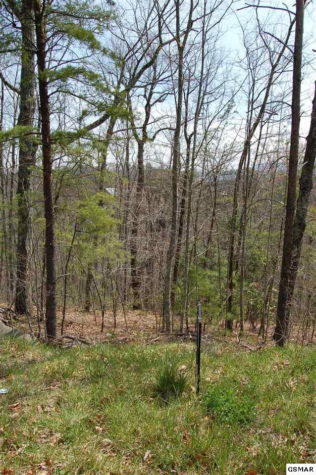 Lots 18B 1&2 Chamberlain Ln - Photo 1