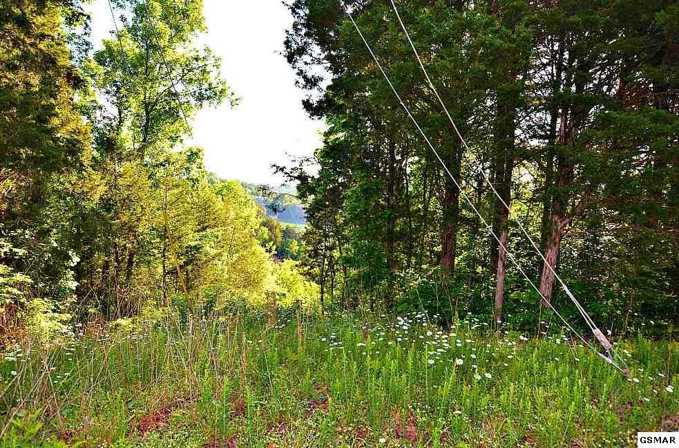 Lot 2-R Mccroskey Lane - Photo 1