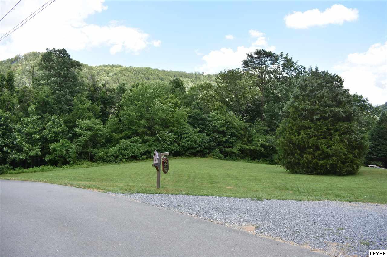 Willow Heights Way - Photo 1