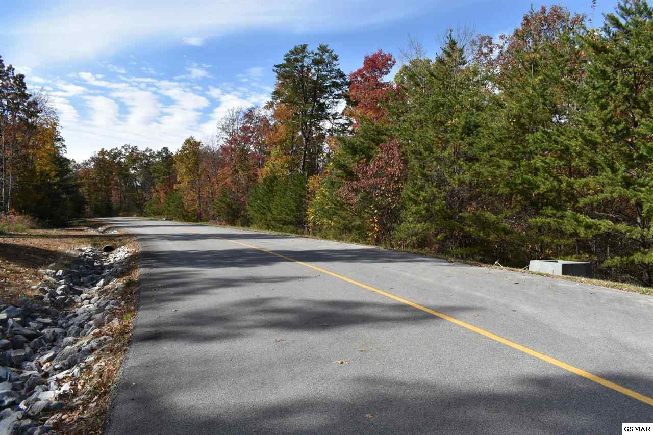 Tract 2 Long Rifle Rd - Photo 1