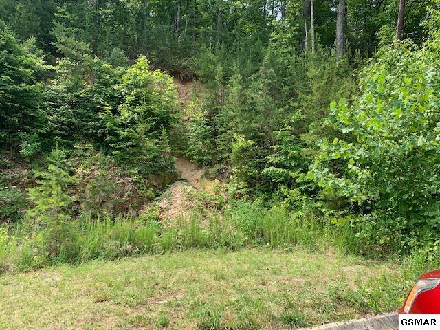 Lot 4,6,8,TR4 Pulaski Ln - Photo 1