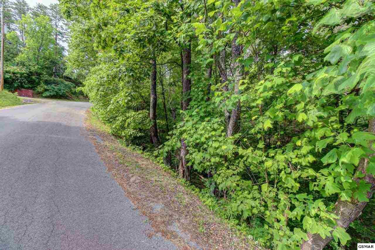 Lot 205 Easy Street - Photo 1