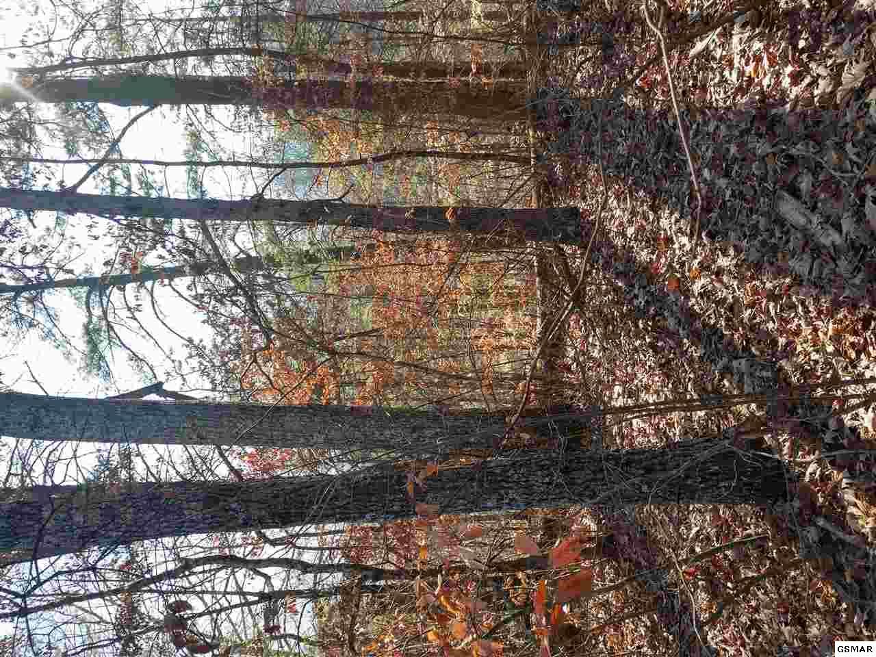 lot 15 Saddle Brook Way - Photo 1