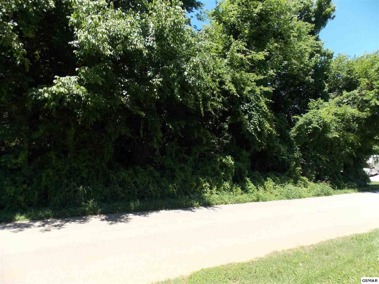 Hazel Dr - Photo 1
