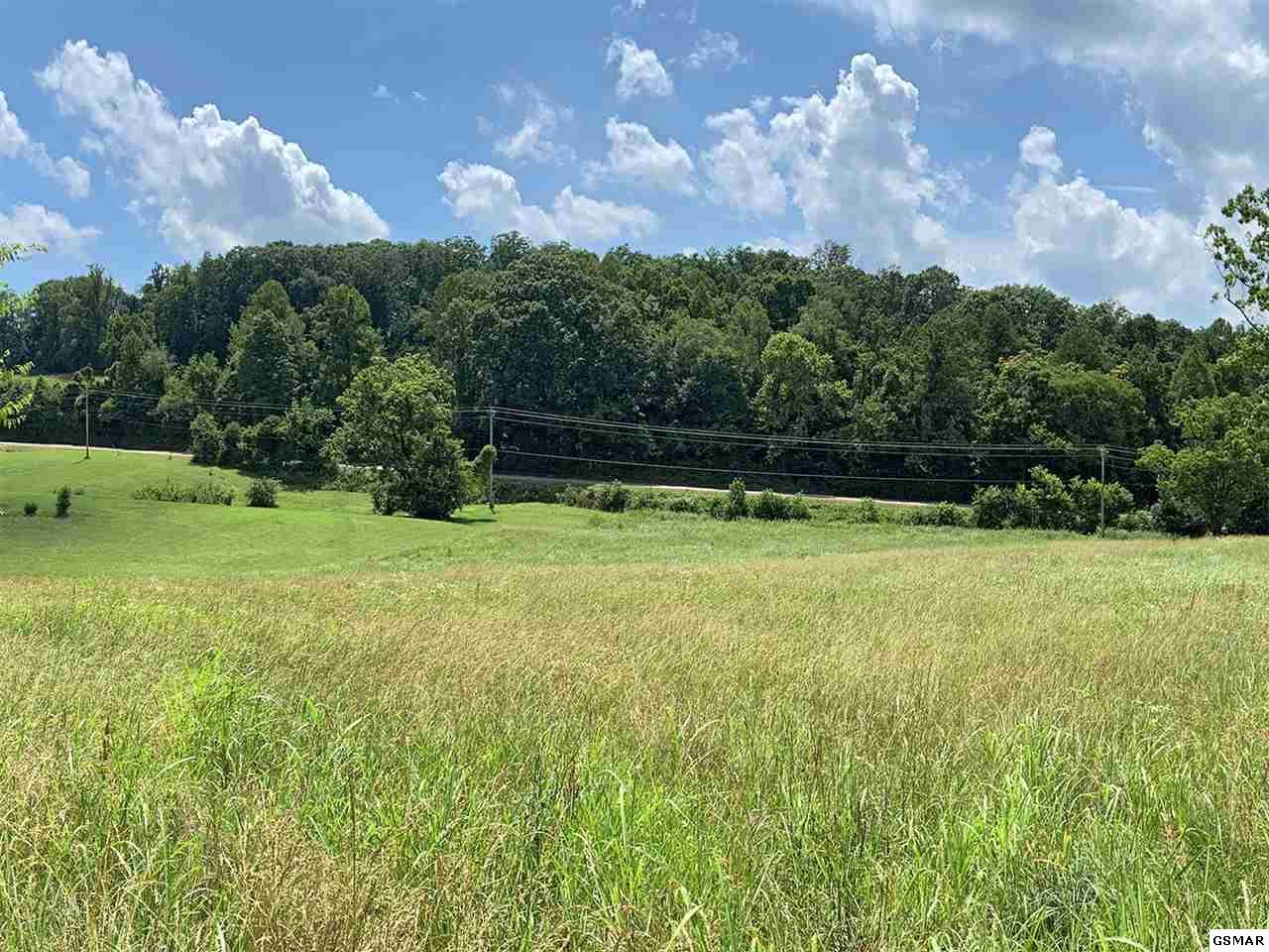 Lot 3 Rambling Rose Lane - Photo 1