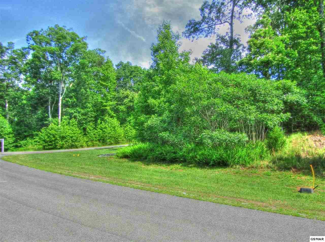Lot 205 E Shore Dr - Photo 1