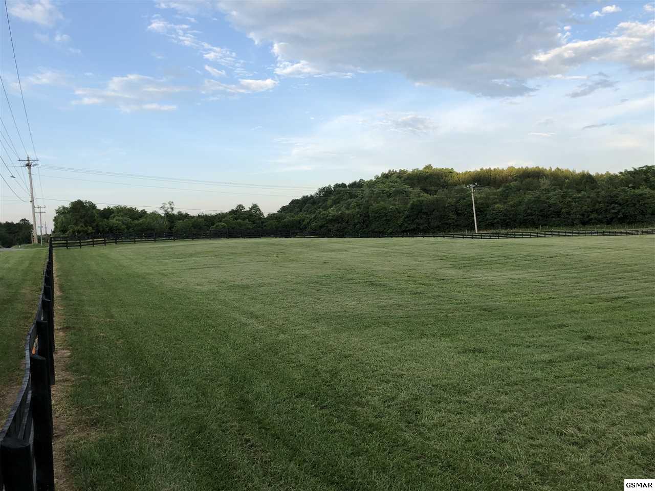 Lot 1 W Dumplin Valley Rd - Photo 1