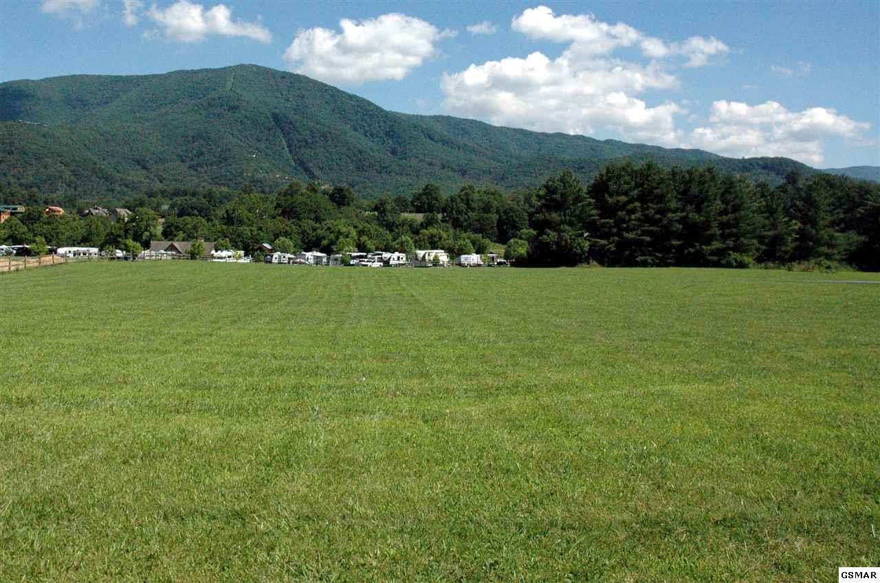 Lot 2 Wears Valley Rd. - Photo 1