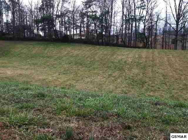 Lot Lot 50 Robert Ridge Rd - Photo 1