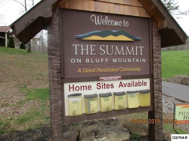 LOT 128 Bluff Mtn Rd - Photo 1