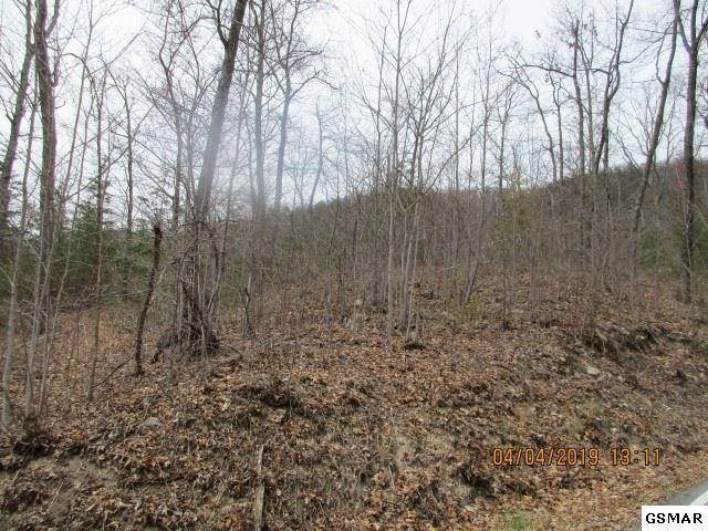 LOT 129 Bluff Mtn Rd - Photo 1