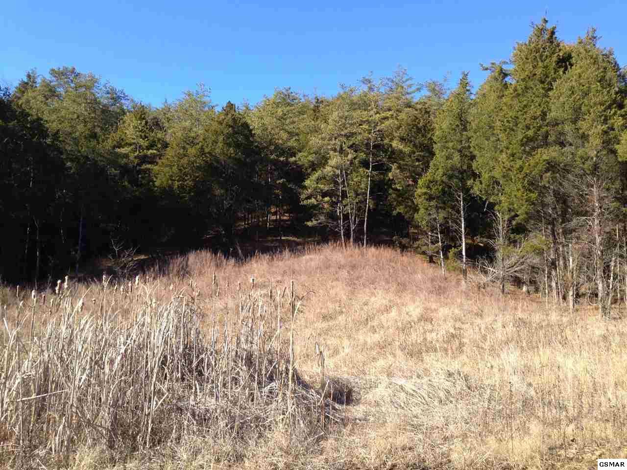 Lot 70 Grande Vista Drive - Photo 1
