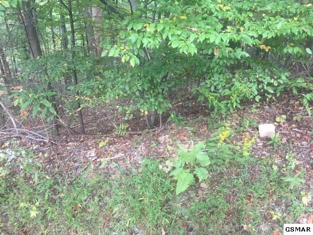 Lot 17 Green Meadow Dr - Photo 1