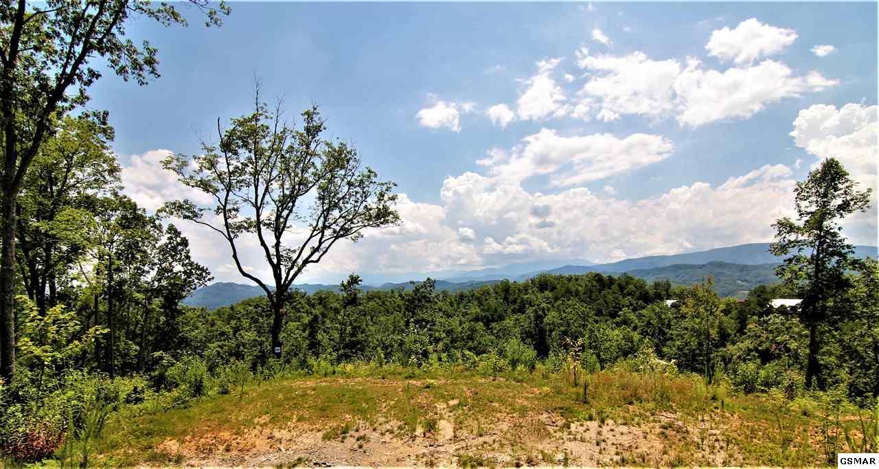 Lot 184 Winterberry Trail - Photo 1 Lot 184 Winterberry Trail - Photo 1