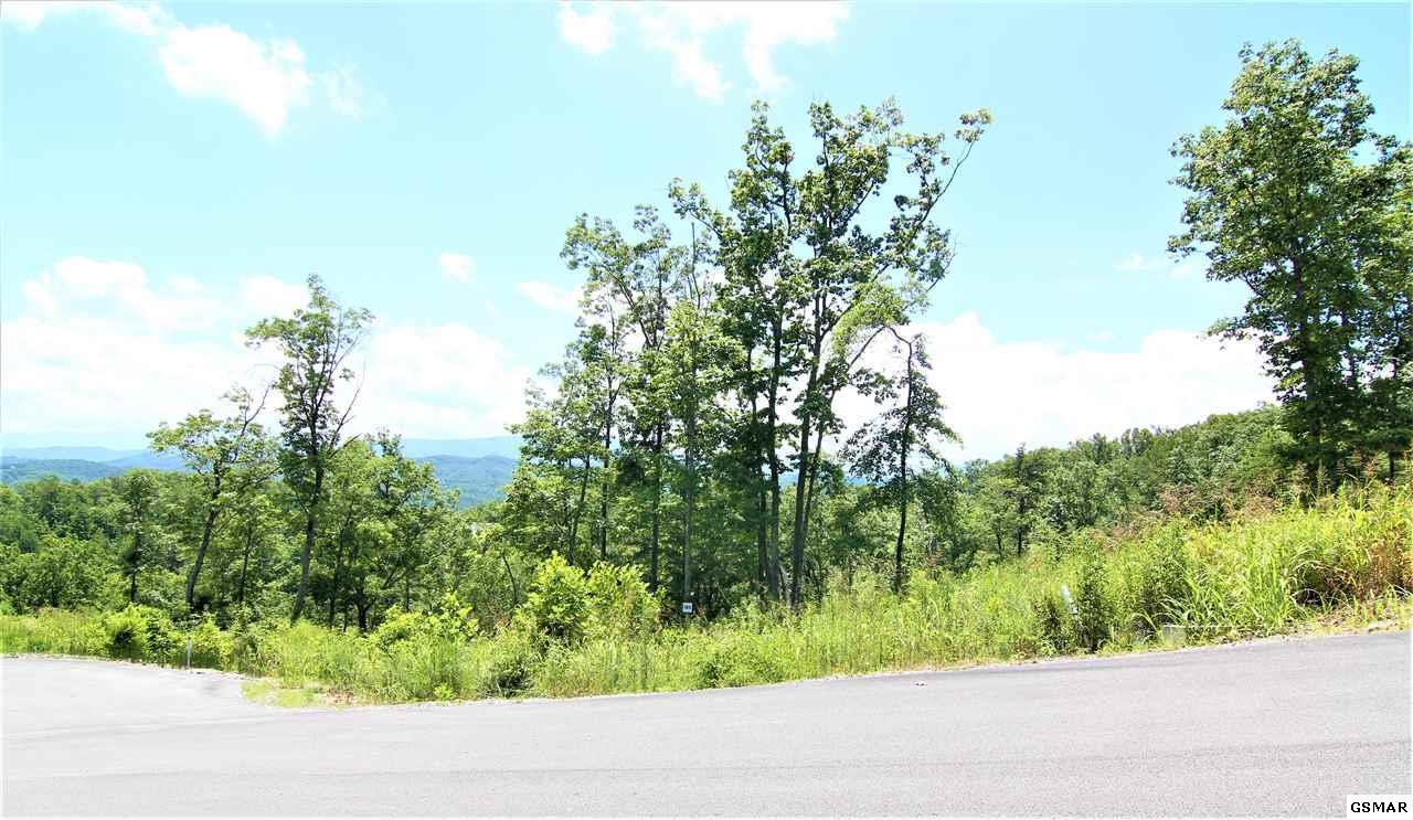 Lot 185 Winterberry Trail - Photo 1 Lot 185 Winterberry Trail - Photo 1