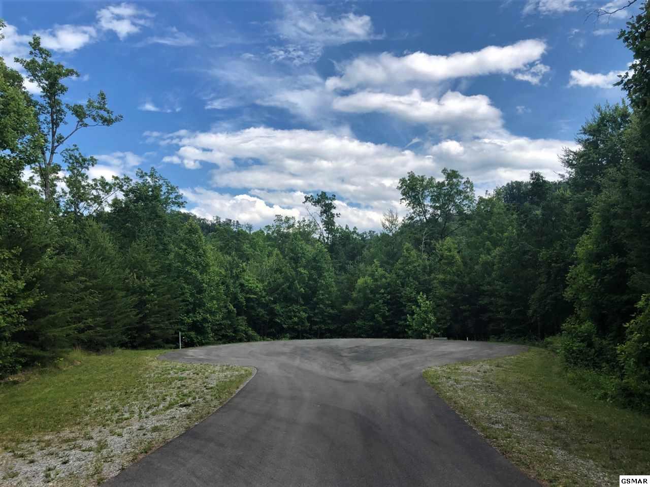 529 Percussion Court - Photo 1
