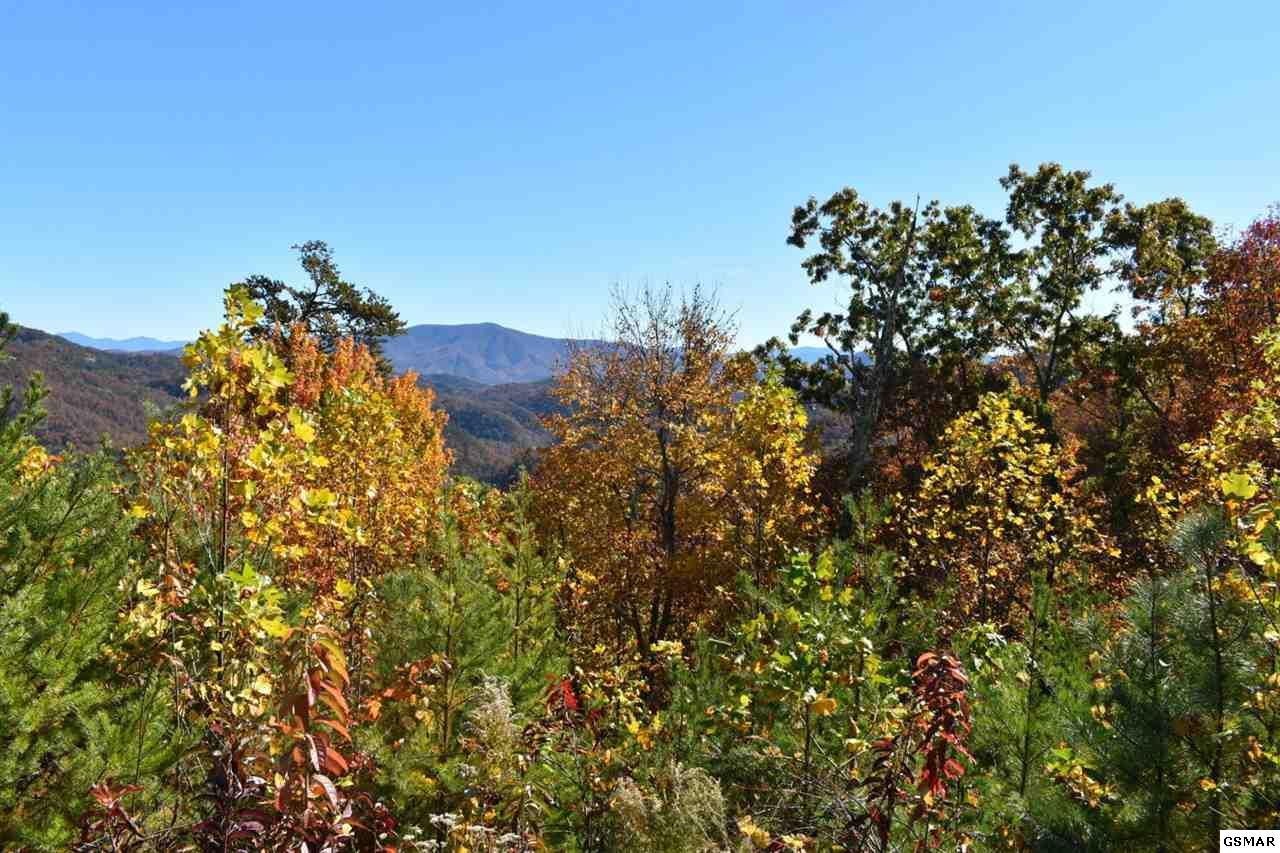 Lot 40W 4978 Long Rifle Road - Photo 1