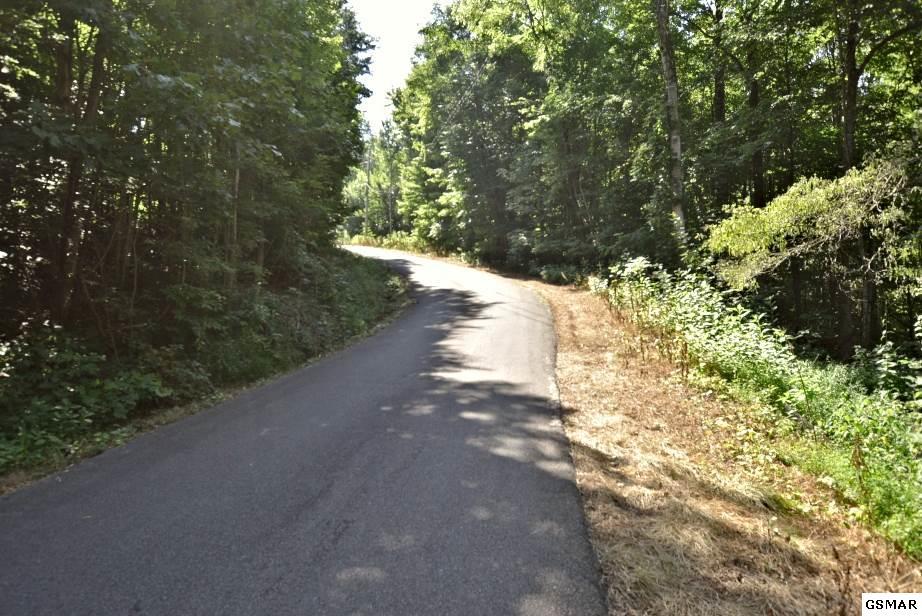 Lot 630 Cherry View Lane - Photo 1