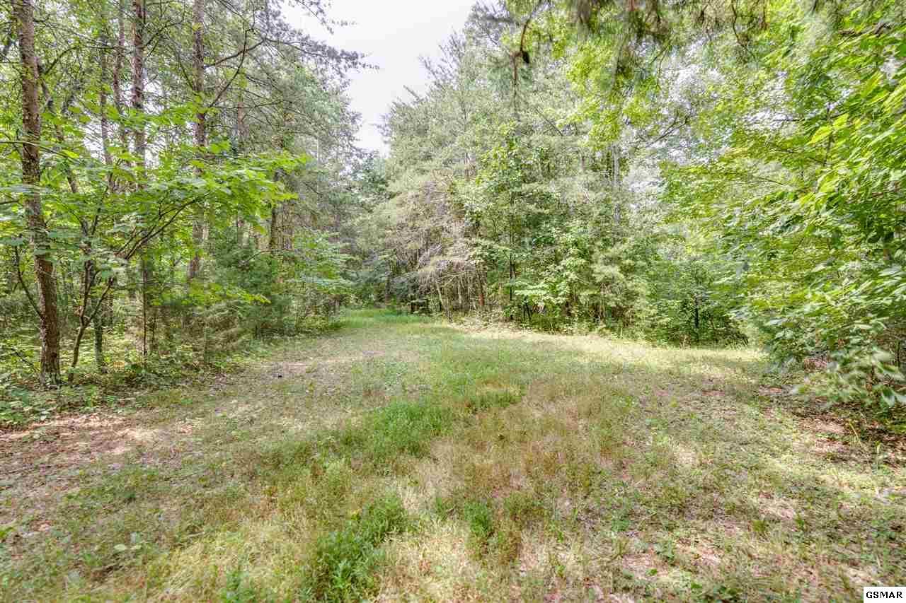 Lot 20 Rays Gap Rd - Photo 1