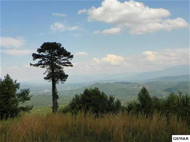 Lot 26A Bluff Mountain Rd - Photo 1