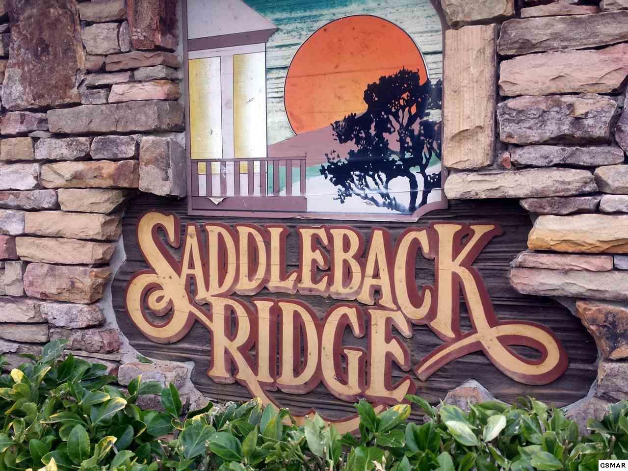 LOT 4 Saddle Creek Way - Photo 1