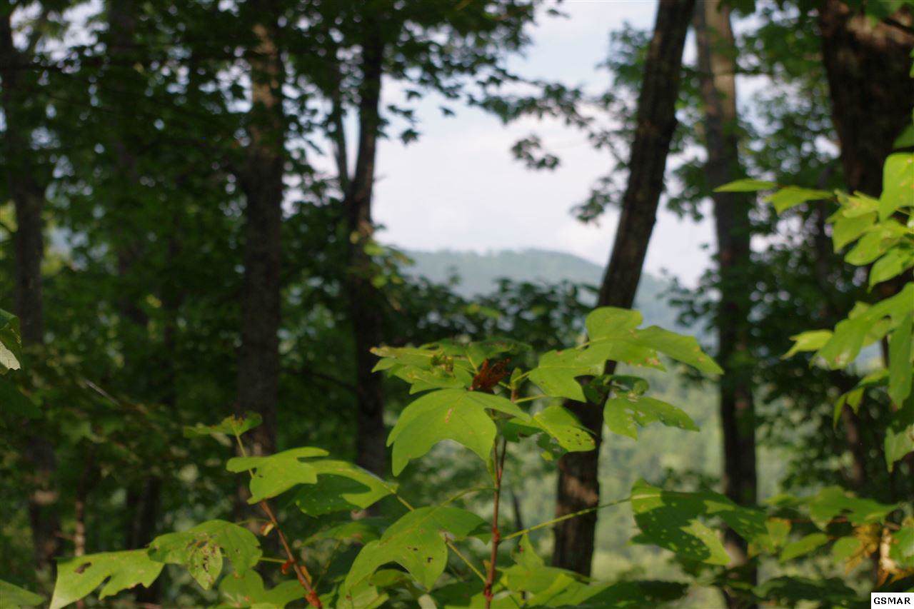 Lot 4 Caton's Grove - Photo 1