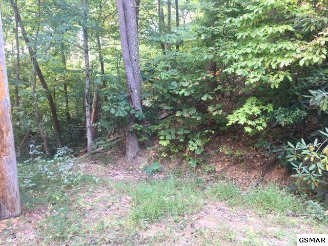 Lot 552A Silver Poplar Ln - Photo 1