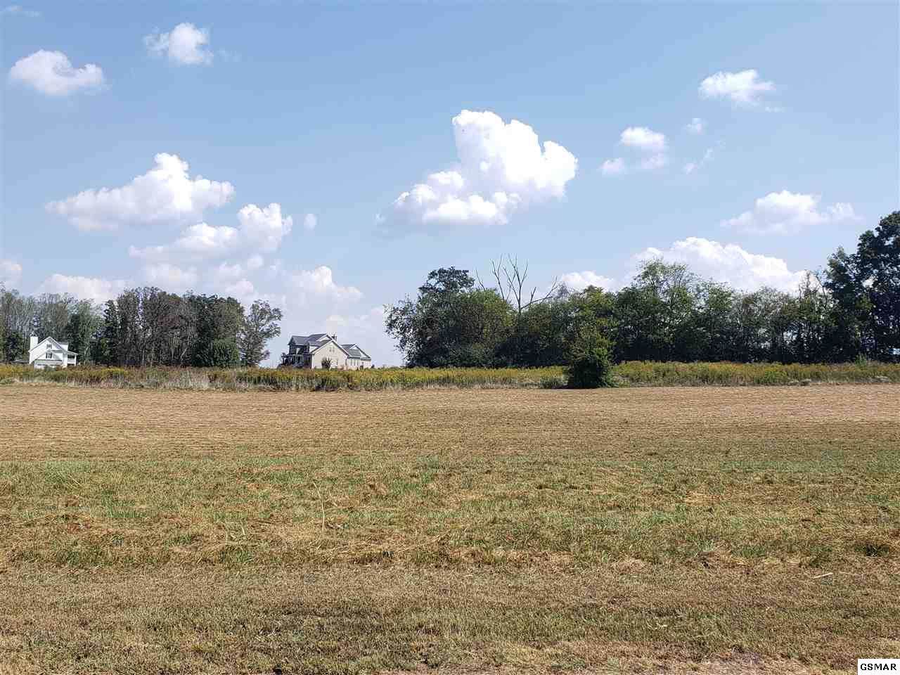 715 Majestic Mountains Blvd - Photo 1