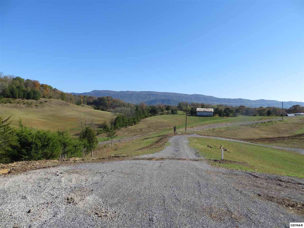 870 North Knob Creek Road - Photo 1