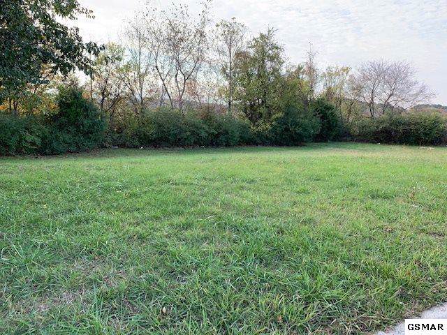 Lot 9 Joshua Dr - Photo 1