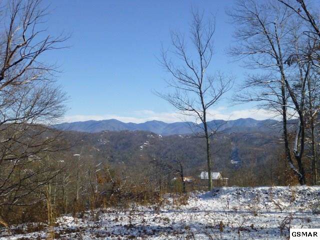 354 Cove Mountain Rd - Photo 1