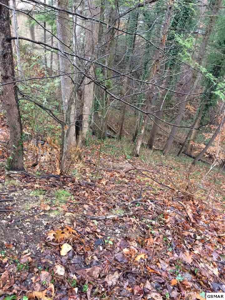 000 Turkey Nest Rd - Photo 1