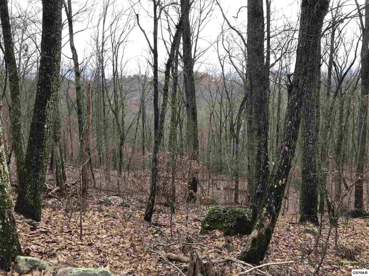 Hideaway Way - Photo 1