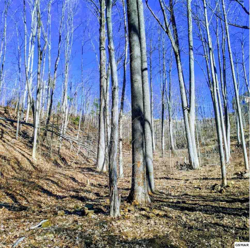 Lot 21 Deer Path Ln - Photo 1