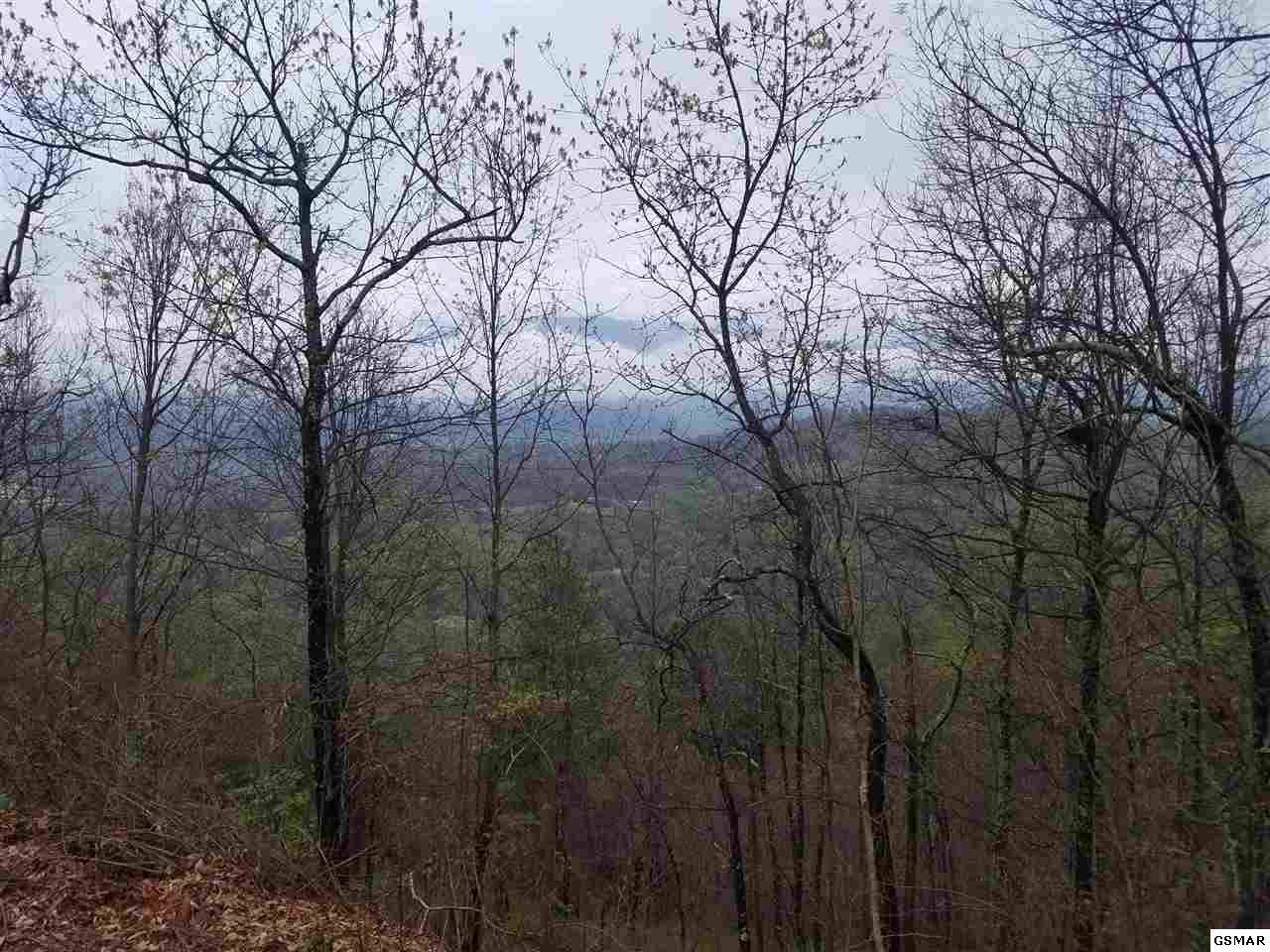 Lot 29 Laurel Top Way - Photo 1