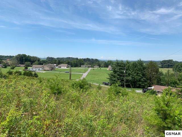 Lot 1 Atchley Dr - Photo 1
