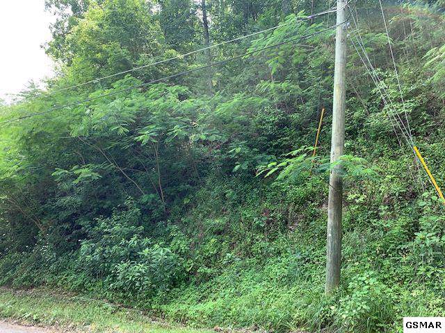 Lot 8 Pulaski Lane - Photo 1