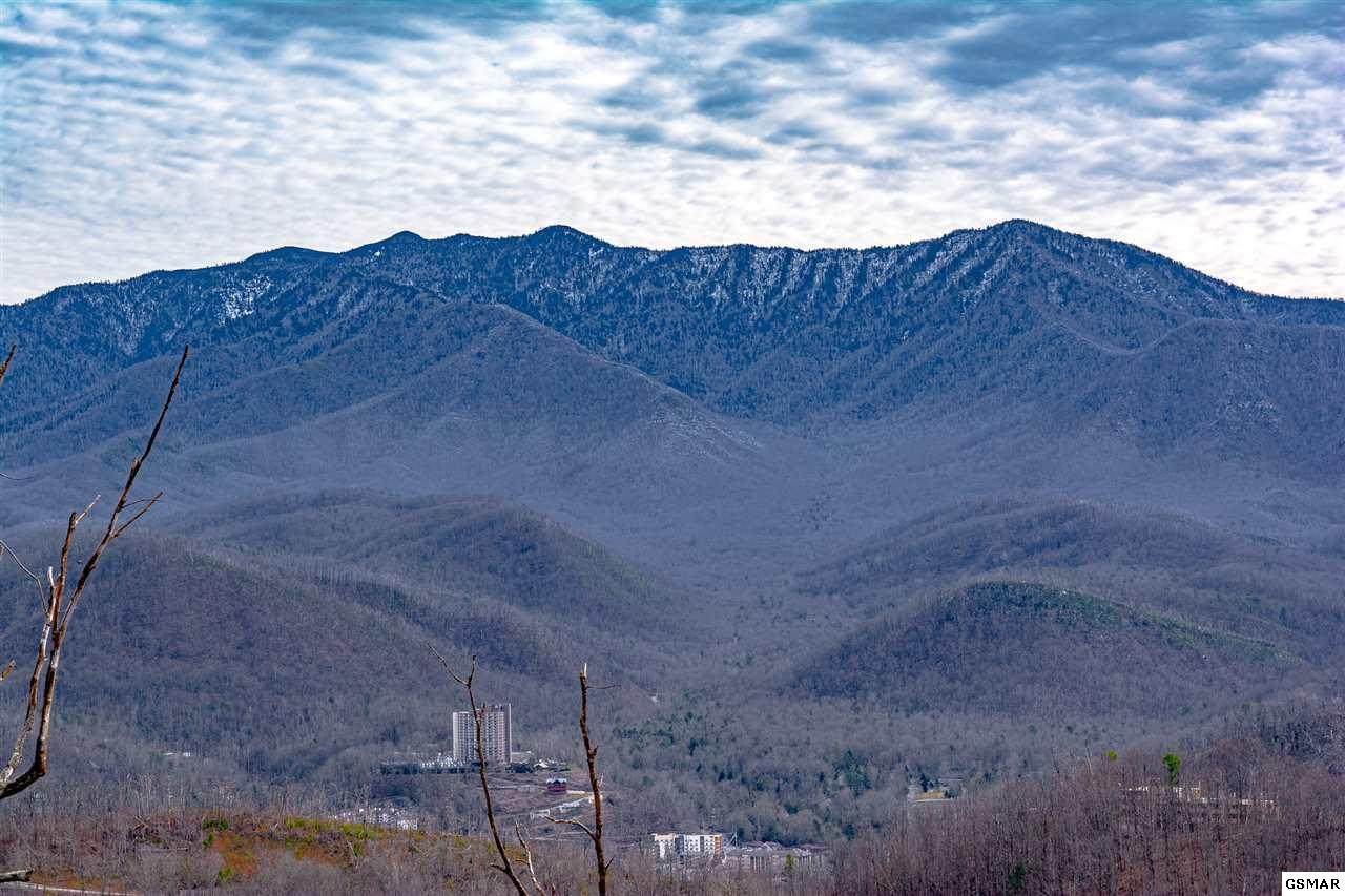 118 Skyline Drive - Photo 1